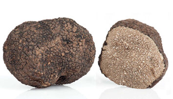 truffe noire 